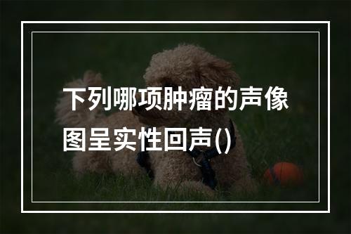 下列哪项肿瘤的声像图呈实性回声()