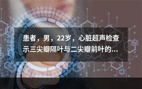 患者，男，22岁，心脏超声检查示三尖瓣隔叶与二尖瓣前叶的距离