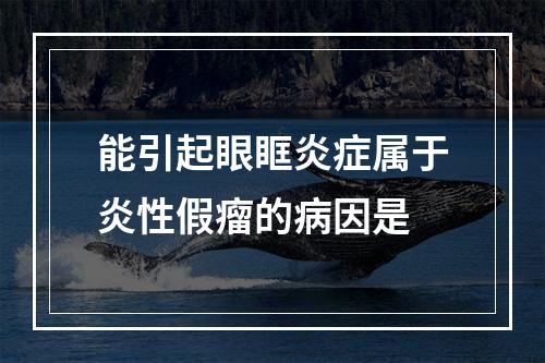 能引起眼眶炎症属于炎性假瘤的病因是