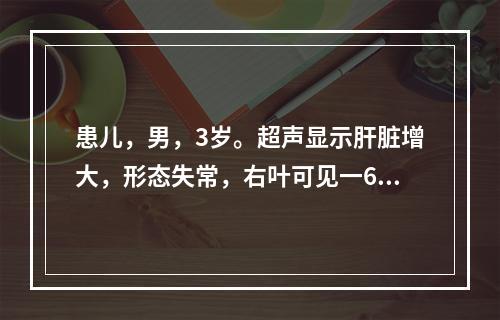 患儿，男，3岁。超声显示肝脏增大，形态失常，右叶可见一64m