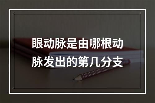 眼动脉是由哪根动脉发出的第几分支