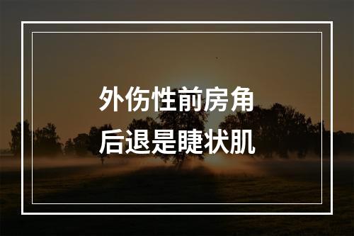 外伤性前房角后退是睫状肌