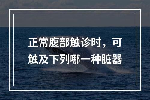 正常腹部触诊时，可触及下列哪一种脏器