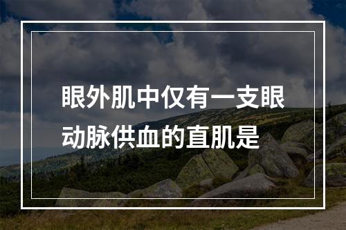 眼外肌中仅有一支眼动脉供血的直肌是