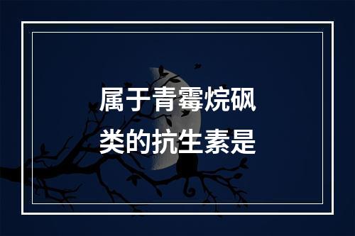 属于青霉烷砜类的抗生素是