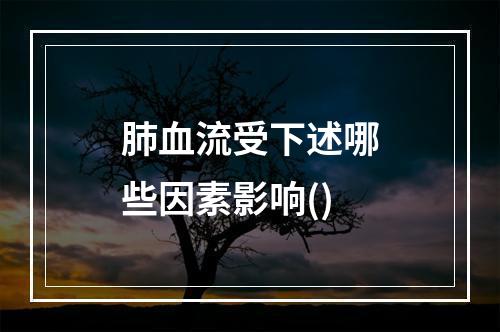 肺血流受下述哪些因素影响()