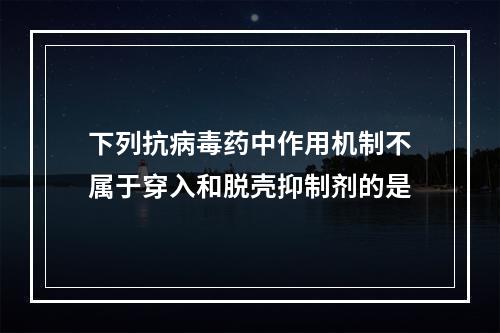 下列抗病毒药中作用机制不属于穿入和脱壳抑制剂的是