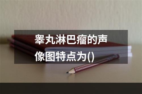 睾丸淋巴瘤的声像图特点为()