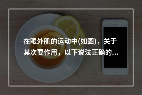 在眼外肌的运动中(如图)，关于其次要作用，以下说法正确的是(