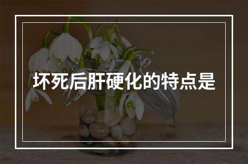 坏死后肝硬化的特点是