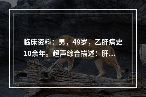 临床资料：男，49岁，乙肝病史10余年。超声综合描述：肝形态