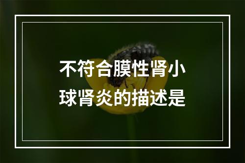 不符合膜性肾小球肾炎的描述是