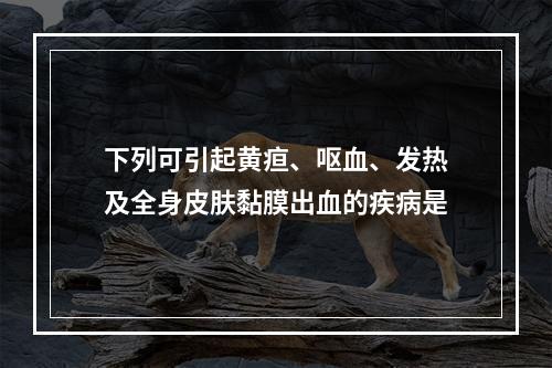 下列可引起黄疸、呕血、发热及全身皮肤黏膜出血的疾病是