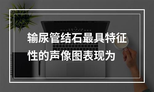 输尿管结石最具特征性的声像图表现为