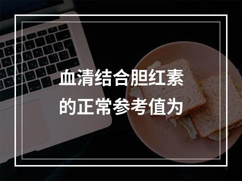 血清结合胆红素的正常参考值为