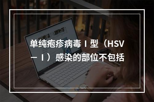 单纯疱疹病毒Ⅰ型（HSV－Ⅰ）感染的部位不包括