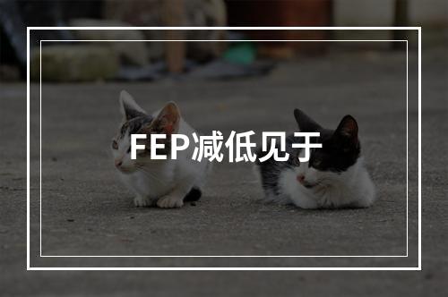 FEP减低见于