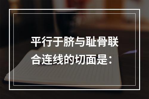 平行于脐与耻骨联合连线的切面是：