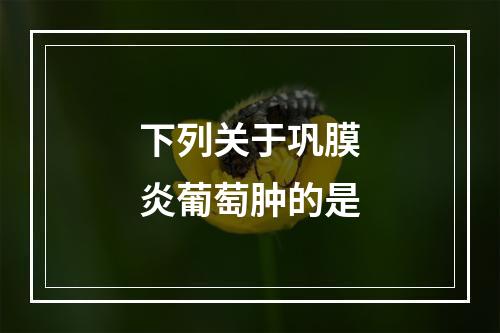 下列关于巩膜炎葡萄肿的是