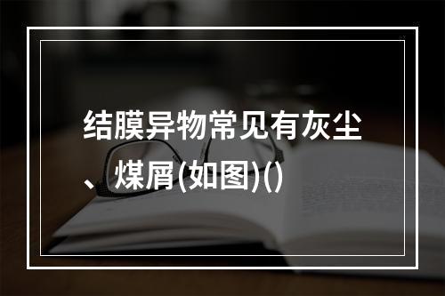 结膜异物常见有灰尘、煤屑(如图)()