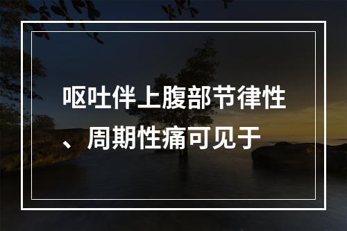 呕吐伴上腹部节律性、周期性痛可见于