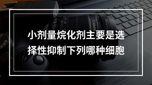 小剂量烷化剂主要是选择性抑制下列哪种细胞