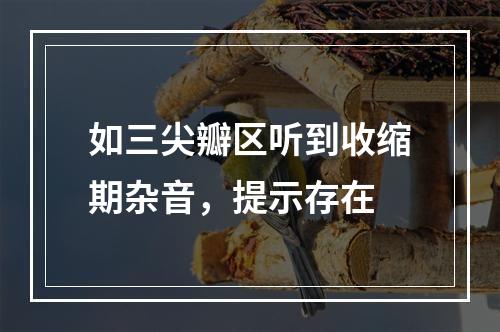 如三尖瓣区听到收缩期杂音，提示存在