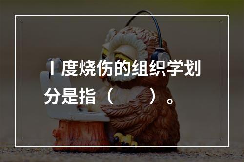 Ⅰ度烧伤的组织学划分是指（　　）。