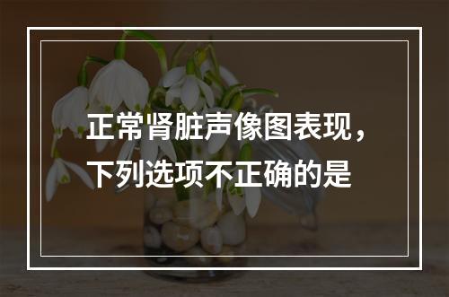 正常肾脏声像图表现，下列选项不正确的是