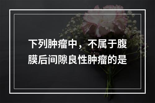 下列肿瘤中，不属于腹膜后间隙良性肿瘤的是