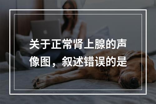 关于正常肾上腺的声像图，叙述错误的是