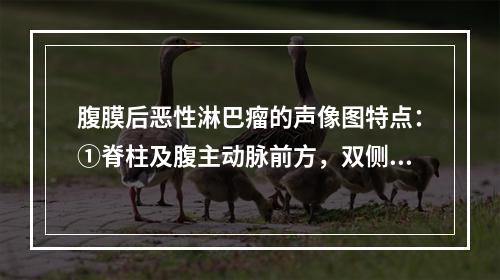 腹膜后恶性淋巴瘤的声像图特点：①脊柱及腹主动脉前方，双侧大小