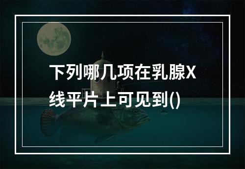 下列哪几项在乳腺X线平片上可见到()