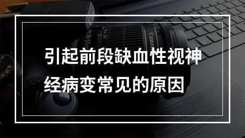 引起前段缺血性视神经病变常见的原因