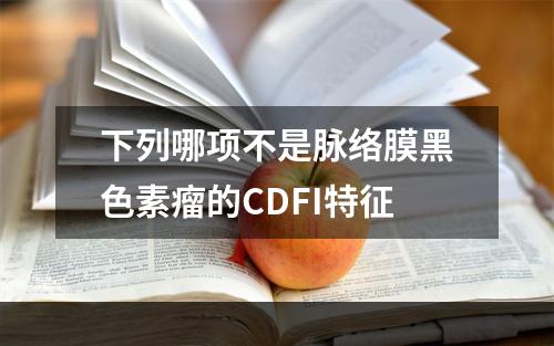 下列哪项不是脉络膜黑色素瘤的CDFI特征