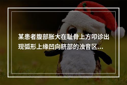 某患者腹部胀大在耻骨上方叩诊出现弧形上缘凹向脐部的浊音区，应