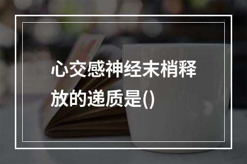 心交感神经末梢释放的递质是()