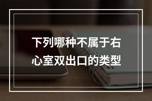 下列哪种不属于右心室双出口的类型