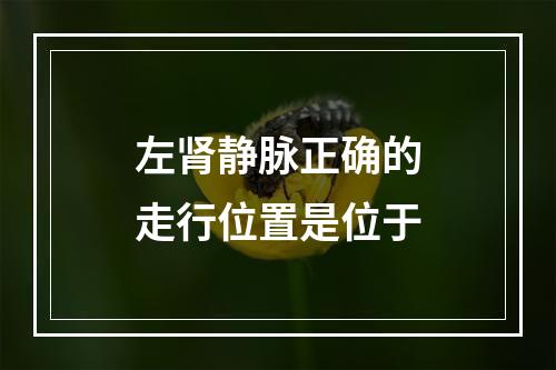 左肾静脉正确的走行位置是位于