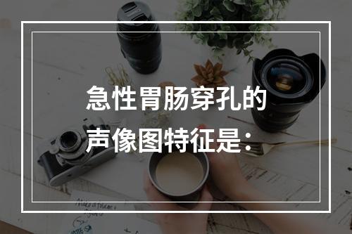 急性胃肠穿孔的声像图特征是：