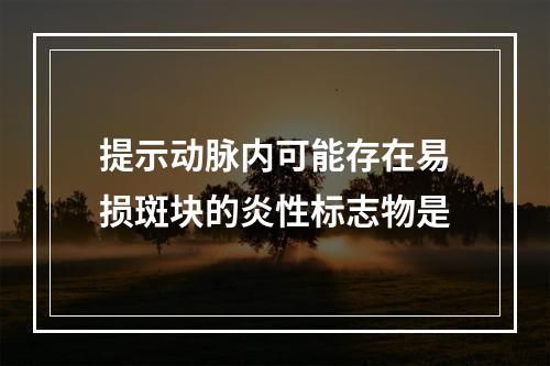 提示动脉内可能存在易损斑块的炎性标志物是