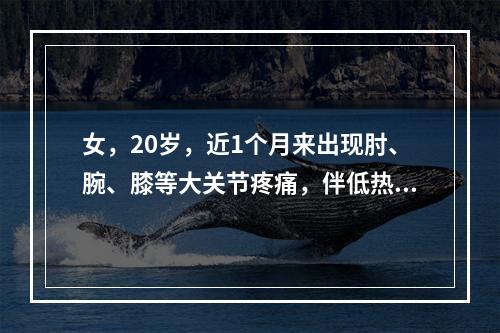 女，20岁，近1个月来出现肘、腕、膝等大关节疼痛，伴低热、脱