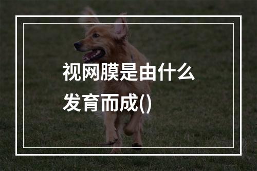 视网膜是由什么发育而成()