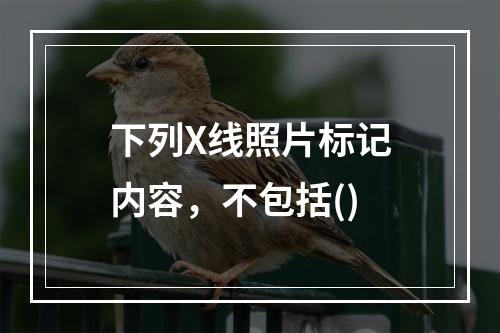 下列X线照片标记内容，不包括()