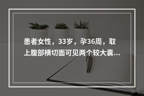 患者女性，33岁，孕36周，取上腹部横切面可见两个较大囊泡，