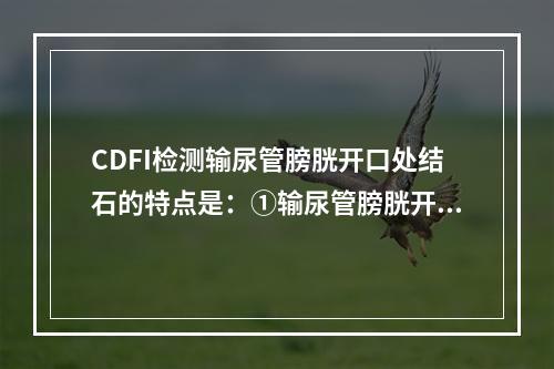 CDFI检测输尿管膀胱开口处结石的特点是：①输尿管膀胱开口喷