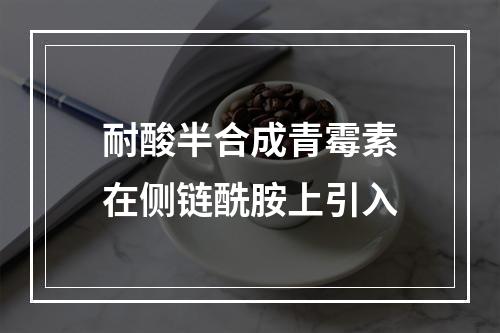 耐酸半合成青霉素在侧链酰胺上引入