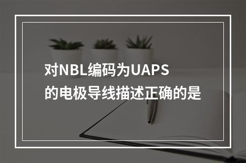 对NBL编码为UAPS的电极导线描述正确的是