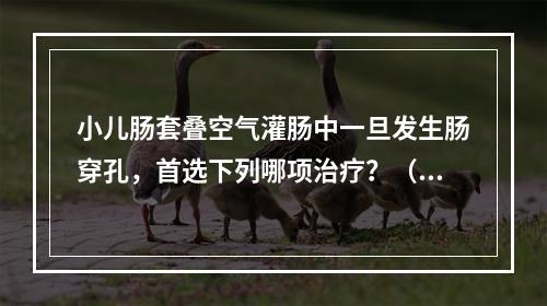 小儿肠套叠空气灌肠中一旦发生肠穿孔，首选下列哪项治疗？（　　