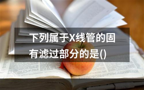 下列属于X线管的固有滤过部分的是()